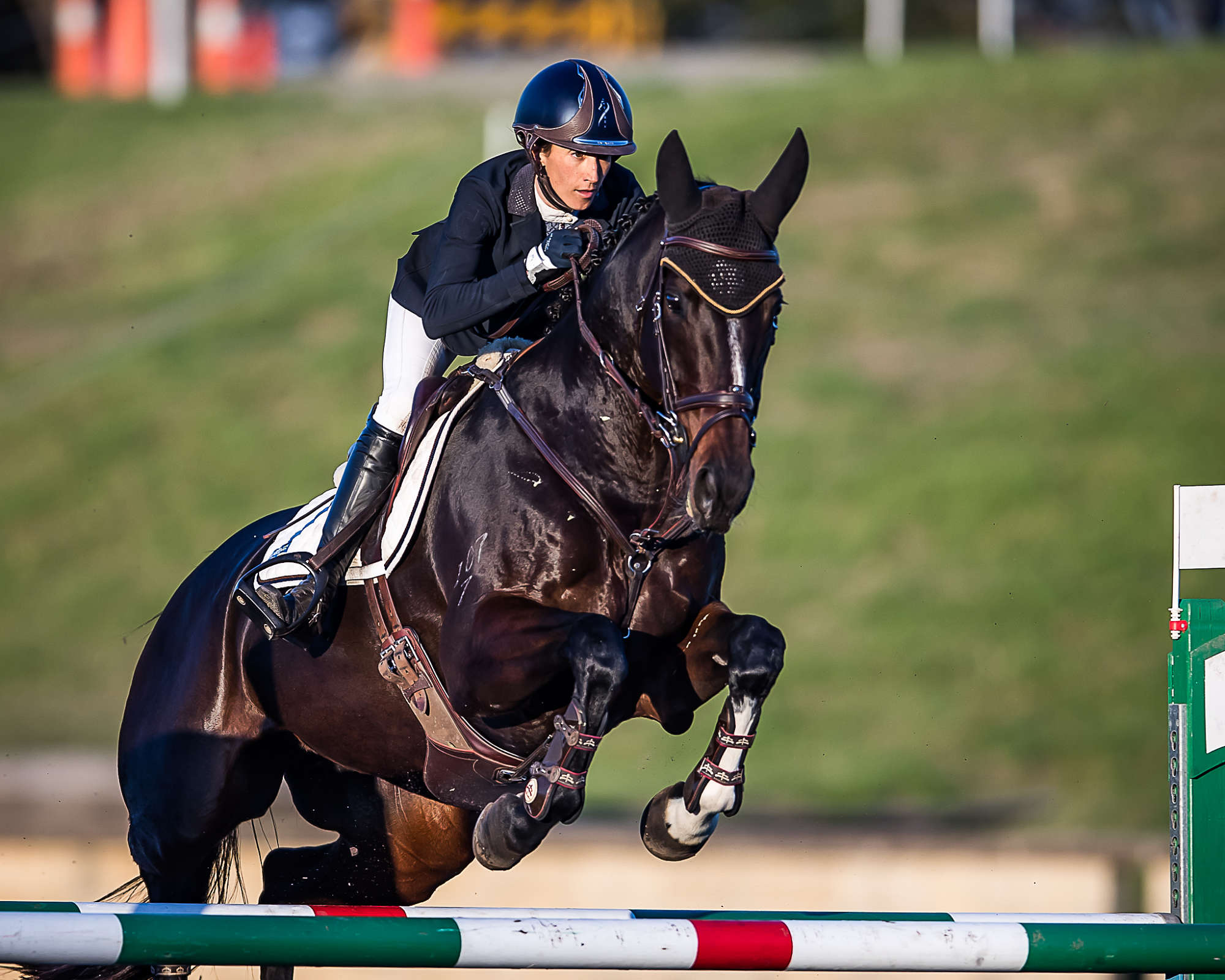 You are currently viewing Annabel Armstrong and Quaprice Jump to Victory at Syd 3DE