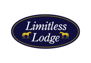 Read more about the article Limitless Lodge partners with Syd3DE