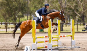 Read more about the article Exciting Format Changes for 2025 Limitless Lodge Sydney International 3DE